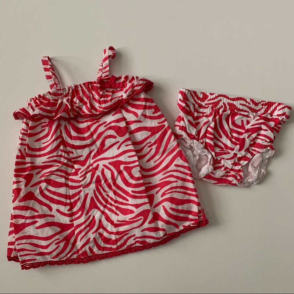 Baby Girl 3 Months Zebra Dress and Bloomers Set